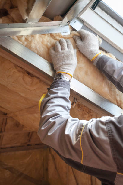 Best Insulation Materials and Products in Crane, MO